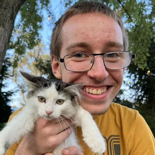 an image of kieran holding a white kitten